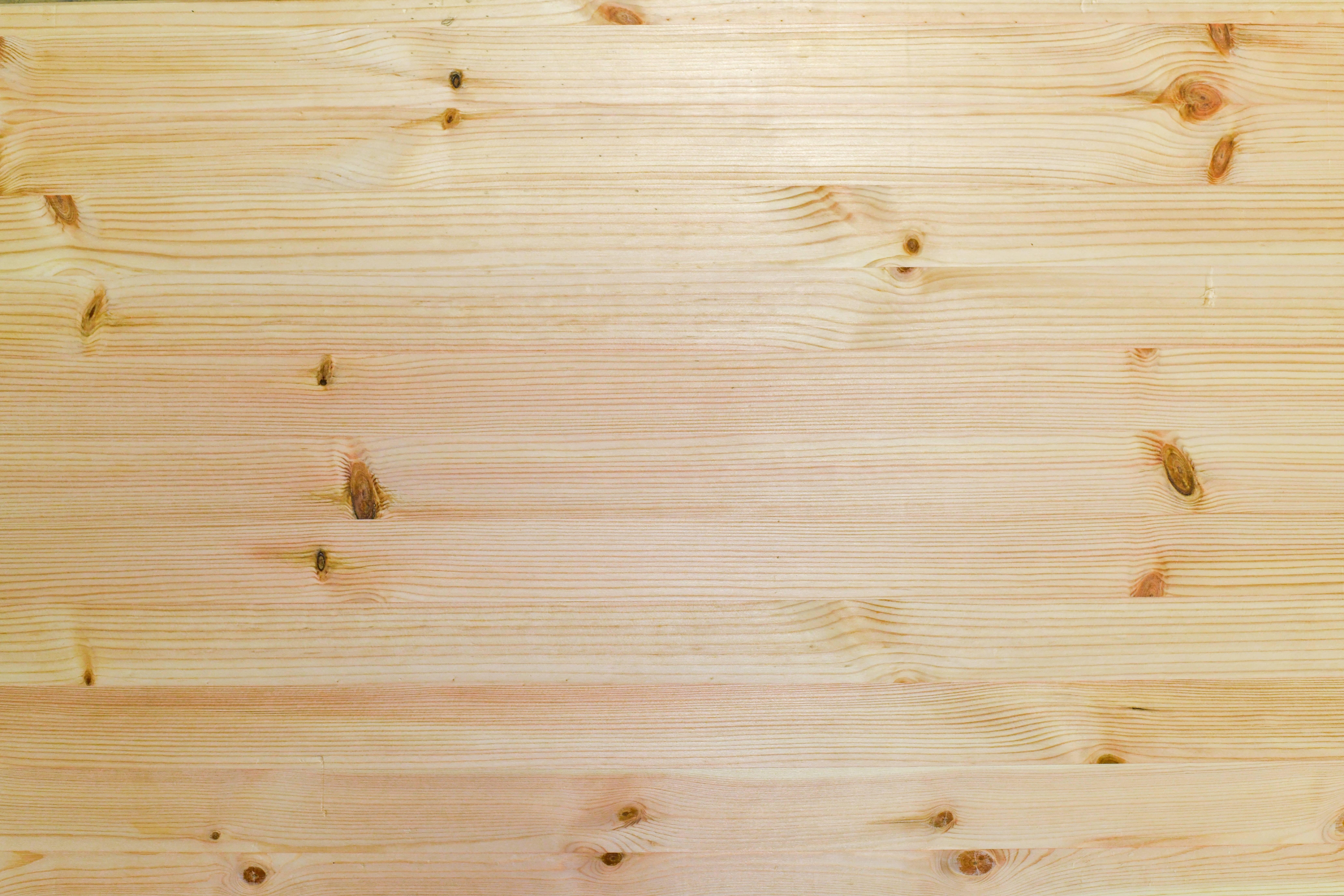 Spárovky borovice průběžná