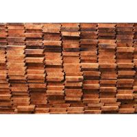 Thermo borovice Clip 26x118x4200mm (6)